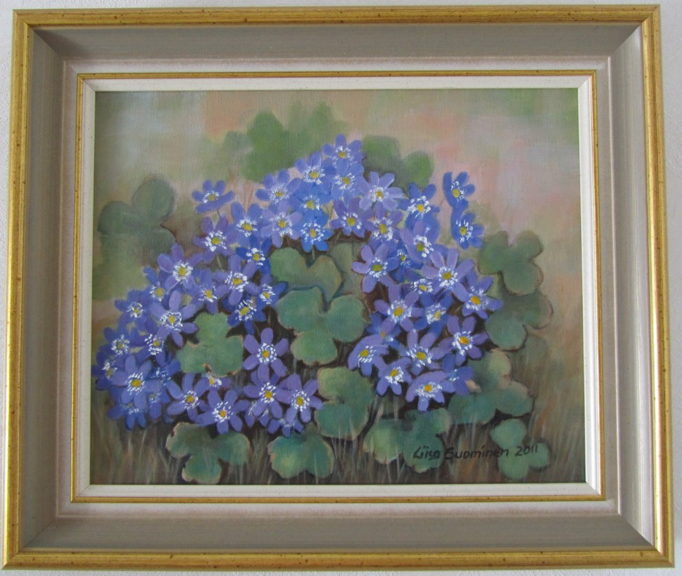 Sinivuokot 24x30
